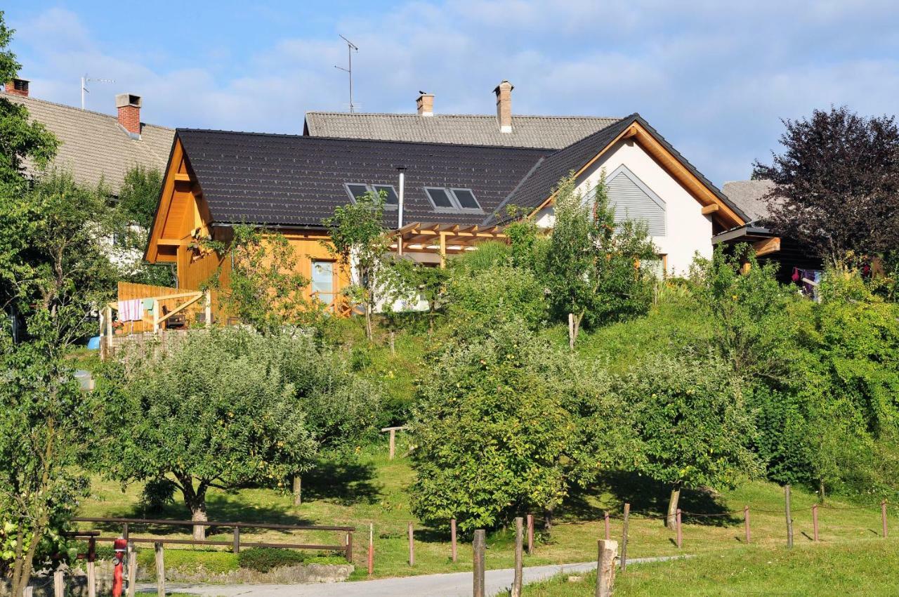 Apartma Rosa Spodnji Otok Extérieur photo